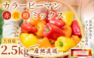 【2.5kg×1箱】カラーピーマン（ミックス）