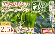 【2.5kg】カラーピーマン（緑）