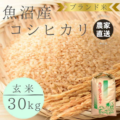 先行予約 令和8年産 ブランド米 魚沼産コシヒカリ 玄米 30kg 米 こしひかり 新潟 2708589 - 新潟県魚沼市