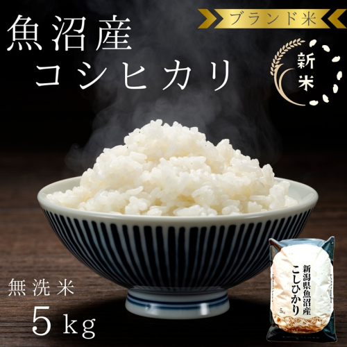 先行予約 令和8年産 ブランド米 魚沼産コシヒカリ 無洗米 5kg お米 コシヒカリ100％ ミネラル  2708591 - 新潟県魚沼市