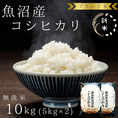 先行予約 令和8年産 ブランド米 魚沼産コシヒカリ 無洗米 10kg（5kg×2袋） お米  2708592 - 新潟県魚沼市
