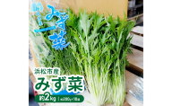 浜松市産 みず菜 約2kg（約200g×10袋）水菜 サラダ 野菜 キョウナ 京菜 ヒイラギナ 柊菜 センスジナ 千筋菜 静岡 浜松市【配送不可：離島】