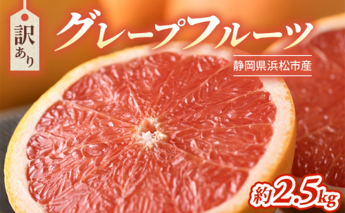 【2027年4月上旬より順次発送】【訳あり】静岡県浜松市産グレープフルーツ 約2.5kg（5～12個） 果物 くだもの フルーツ 果物類 柑橘類 旬のフルーツ 季節の果物 静岡 浜松市 2708643 - 静岡県浜松市