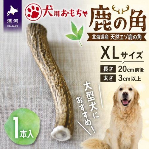犬用「鹿の角」XLサイズ×1本[53-1635] 2708653 - 北海道浦河町
