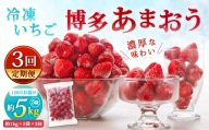 [ 定期1ヶ月毎3回 ] やまや 【 濃厚な味わい！ 】 冷凍いちご 博多あまおう 約5kg （ 1kg × 5袋 ） いちご 苺 イチゴ くだもの 果物 フルーツ あまおう 冷凍 冷凍苺 冷凍イチゴ 国産 福岡県産 ジャム スムージー ヨーグルト 果実 果肉 定期 定期配送