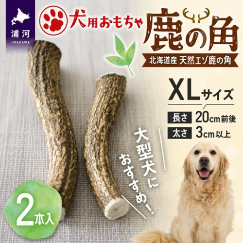 犬用「鹿の角」XLサイズ×2本[53-1636] 2708703 - 北海道浦河町