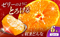紅まどんな Lサイズ 6個入り [11月中旬から12月下旬まで順次発送] / フルーツ 果物 蜜柑 ミカン オレンジ 小玉 甘い 先行予約 箱 愛媛 スイーツ デザート おやつ お菓子 みかん 柑橘 かんきつ 温州 温州みかん 糖度 美味しい 濃厚 さっぱり 爽やか 香り ジューシー みかんジュース ジュース 箱買い 大玉 12月 / 愛媛県砥部町/株式会社フジ・アグリフーズ [BJBI017]