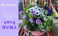 021N345 カーデニングコンシェルジュが育てた季節の花 寄せ植え[髙島屋選定品］
