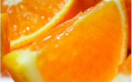 有田育ちの完熟清見オレンジ(ご家庭用)　1kg+200g(補償分)【2027年2月下旬～5月上旬頃に順次発送予定】【ard241】