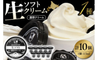 【スピード発送】生ソフトクリーム【濃厚クリーム】計10個 tt013-009sp