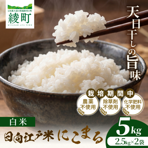 天日干しが引き出す お米の旨味 日向江戸米（にこまる）【白米】計5kg 国産米 ブランド米 農薬不使用 化学肥料不使用 無農薬 ごはん ご飯 おにぎり お弁当 冷めても美味しい もっちり食感 和食 主食 人気 おすすめ 宮崎県 綾町 送料無料_A0038-020 2709026 - 宮崎県綾町