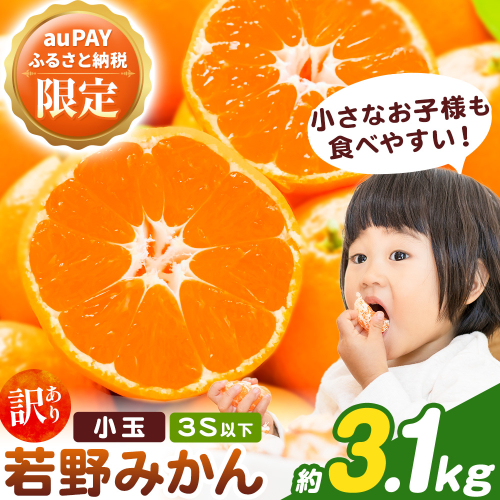 【三太郎の日限定】和歌山県産 訳あり 小玉 若野みかん 約3.1kg (3Sサイズ以下) みかん 小玉 マルエイ農園《11月下旬-12月下旬頃出荷》 和歌山県 日高川町 果物 フルーツ 訳ありみかん 家庭用 みかん 2709031 - 和歌山県日高川町