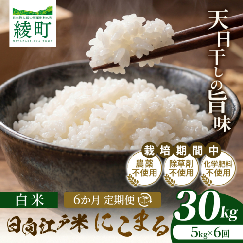 【6か月定期便】天日干しが引き出す お米の旨味 日向江戸米（にこまる）【白米】合計30kg 国産米 ブランド米 農薬不使用 化学肥料不使用 無農薬 ごはん ご飯 おにぎり お弁当 冷めても美味しい もっちり食感 和食 主食 人気 おすすめ 宮崎県 綾町 送料無料_A0038-027 2709055 - 宮崎県綾町