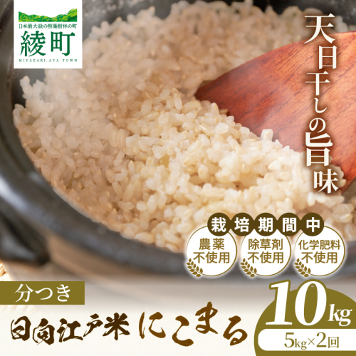 【2か月定期便】天日干しが引き出す お米の旨味 日向江戸米（にこまる）【分つき】合計10kg 国産米 ブランド米 農薬不使用 化学肥料不使用 無農薬 ごはん ご飯 おにぎり お弁当 冷めても美味しい 精米したて 和食 主食 人気 おすすめ 宮崎県 綾町 送料無料_A0038-044 2709140 - 宮崎県綾町