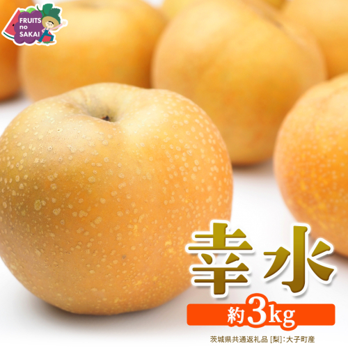 幸水 約3kg【2026年8月より発送開始】（茨城県共通返礼品 [梨]：大子町産） 高糖度 ギフト 贈り物 プレゼント フルーツ なし ナシ 和梨  梨 果実 旬のフルーツ お取り寄せ くだもの 果物 みずみずしい [FC72-NT] 2709561 - 茨城県つくばみらい市