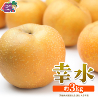 幸水 約3kg【2026年8月より発送開始】（茨城県共通返礼品 [梨]：大子町産） 高糖度 ギフト 贈り物 プレゼント フルーツ なし ナシ 和梨  梨 果実 旬のフルーツ お取り寄せ くだもの 果物 みずみずしい [FC72-NT]