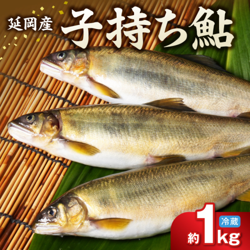 【先行予約】2026年10月下旬より発送開始【冷蔵】子持ち鮎 約１kg N070-YA5530-1 2709564 - 宮崎県延岡市