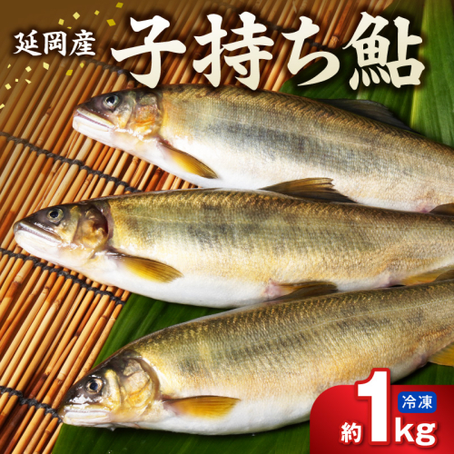【冷凍】子持ち鮎 約１kg N070-YA5530-2 2709565 - 宮崎県延岡市