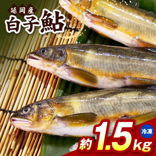 【冷凍】白子鮎約1.5kg N070-YA865-2 2709567 - 宮崎県延岡市