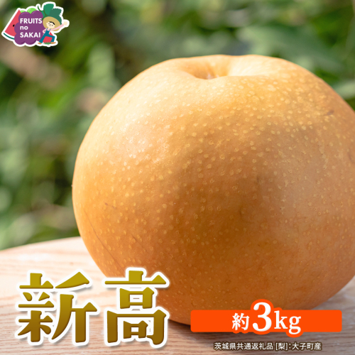 新高 約3kg 【2026年10月より発送開始】（茨城県共通返礼品 [梨]：大子町産） 高糖度 ギフト 贈り物 プレゼント フルーツ なし ナシ 和梨  梨 果実 旬のフルーツ お取り寄せ くだもの 果物 みずみずしい [FC75-NT] 2709568 - 茨城県つくばみらい市