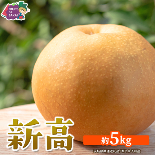 新高 約5kg 【2026年10月より発送開始】（茨城県共通返礼品 [梨]：大子町産） 高糖度 ギフト 贈り物 プレゼント フルーツ なし ナシ 和梨  梨 果実 旬のフルーツ お取り寄せ くだもの 果物 みずみずしい [FC76-NT] 2709570 - 茨城県つくばみらい市