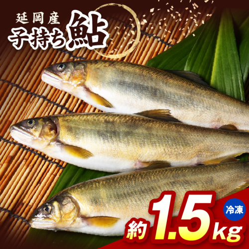 【冷凍】子持ち鮎約1.5kg N070-YB1106-2 2709571 - 宮崎県延岡市