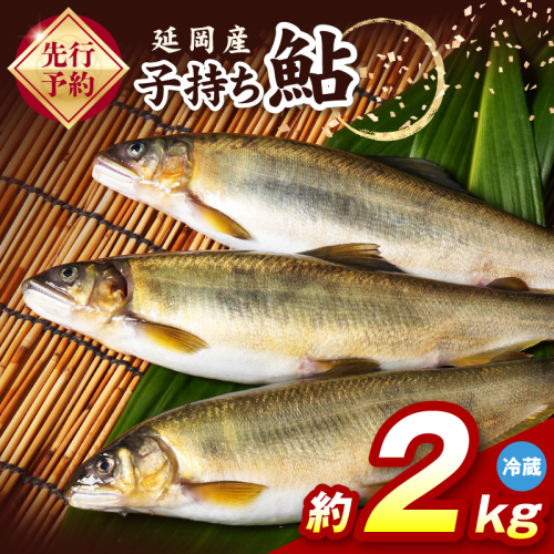 【先行予約】2026年10月下旬より発送開始【冷蔵】子持ち鮎約2kg N070-YB728-1 2709575 - 宮崎県延岡市