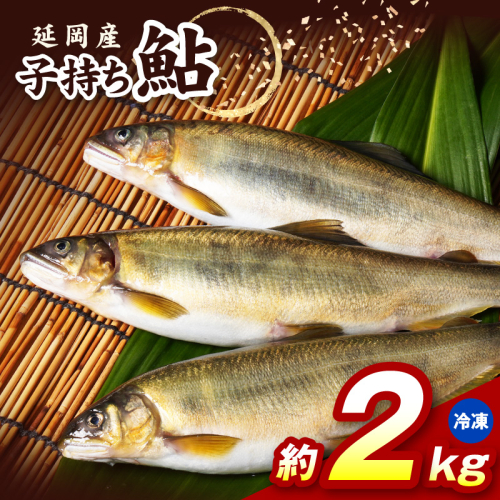 【冷凍】子持ち鮎約2kg N070-YB728-2 2709576 - 宮崎県延岡市