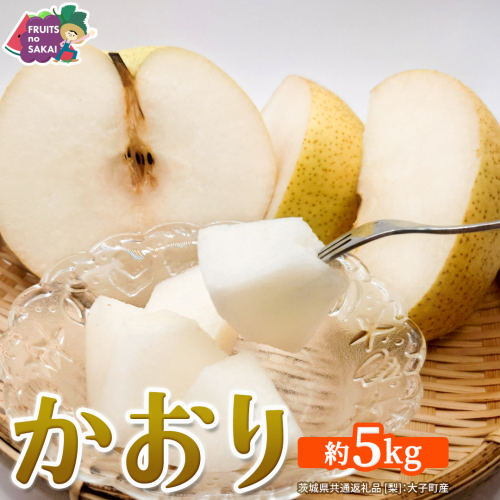 かおり 約5kg 【2026年9月より発送開始】（茨城県共通返礼品 [梨]：大子町産） 高糖度 ギフト 贈り物 プレゼント フルーツ なし ナシ 和梨  梨 果実 旬のフルーツ お取り寄せ くだもの 果物 みずみずしい [FC79-NT] 2709577 - 茨城県つくばみらい市