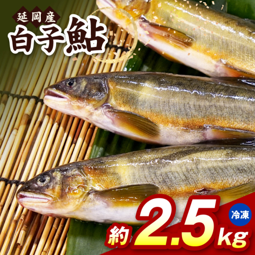【冷凍】白子鮎約2.5kg N070-YB926-2 2709579 - 宮崎県延岡市