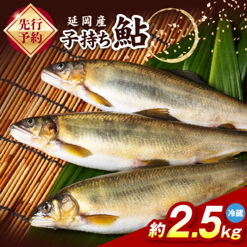 【先行予約】2026年10月下旬より発送開始【冷蔵】子持ち鮎約2.5kg N070-YC425-1 2709580 - 宮崎県延岡市