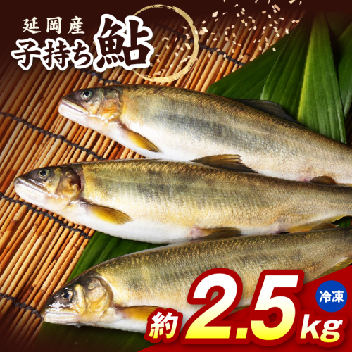 【冷凍】子持ち鮎約2.5kg N070-YC425-2 2709581 - 宮崎県延岡市