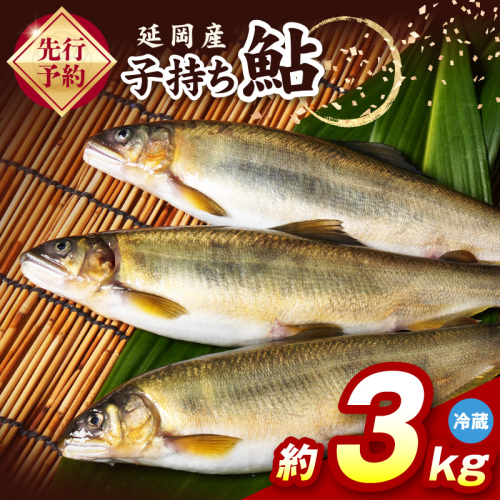 【先行予約】2026年10月下旬より発送開始【冷蔵】子持ち鮎約3kg N070-YD0265-1 2709583 - 宮崎県延岡市