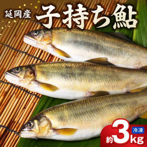 【冷凍】子持ち鮎 約３kg N070-YD0265-2 2709584 - 宮崎県延岡市