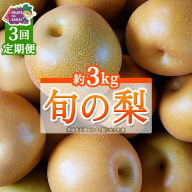 【定期便】3か月連続でお届け！ 旬の梨 おまかせ 約3kg（茨城県共通返礼品 [梨]：大子町産） 高糖度 ギフト 贈り物 プレゼント フルーツ なし ナシ 和梨  梨 果実 旬のフルーツ お取り寄せ くだもの 果物 みずみずしい  [FC81-NT]