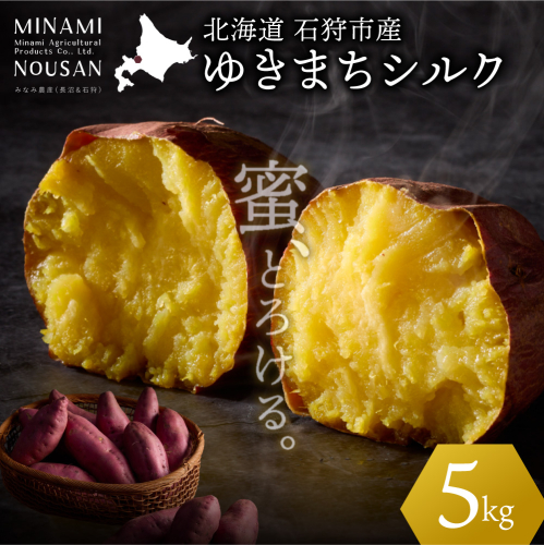 【先行予約】ゆきまちシルク 5kg（11月発送） | シルクスイート さつまいも 北海道 石狩市 2709587 - 北海道石狩市
