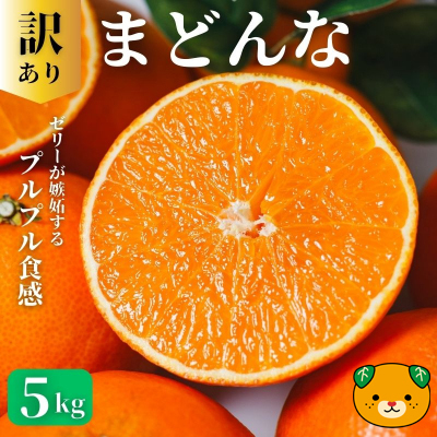 【先行予約：2026年11月20日～発送】訳あり まどんな 5kg 数量限定 愛果28号 紅まどんな 柑橘 かんきつ フルーツ 果物 旬 みかん ミカン 国産 サイズ不揃い 家庭用 おやつ 期間限定 みかん マドンナ 愛媛県 愛南町 愛南町青果市場組合 2709588 - 愛媛県愛南町