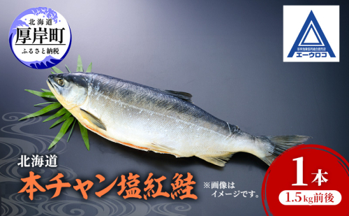 北海道 本チャン 塩紅鮭 1本 1.5kg前後 [ 鮭 サケ 紅鮭 紅サケ 魚 産地直送 焼き魚 ] 2709681 - 北海道厚岸町