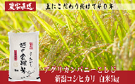 J8-5N051[越の金翔米]新潟県長岡産コシヒカリ5kg(特別栽培米)