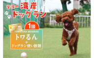 【TOWATERAメンバーズ】ドッグラン、ペットホテルなどをお得に利用できる「トワるん」会員入会＋ドッグラン使い放題【1頭】｜犬 ペット おでかけ 知多半島 伊勢湾 オーシャンビュー 海沿い 観光 体験チケット プール トリミング イベント ペットホテル 犬用ホテル カフェ ペット同伴 犬連れ ドッグラン 愛犬 大型犬 中型犬 小型犬 dog 利用券 体験券 広い 屋内 屋外 雨の日 会員権 愛知
