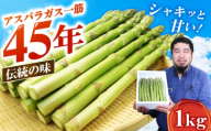 グリーンアスパラガス1kg 広島県福山市/新市アスパラガス生産出荷組合 アスパラガス あすぱらがす アスパラ グリーンアスパラ 野菜 生野菜 朝採れ 採れたて [BAHH001]