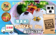 【定期便】《無洗米》さがびより５kg×３回 B639
