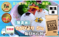【定期便】《無洗米》さがびより５kg×６回 B367