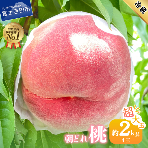【2026年発送】山梨の朝どれ超大玉桃2kg（4玉） 2710107 - 山梨県富士吉田市