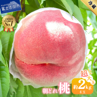 【2026年発送】山梨の朝どれ超大玉桃2kg（4玉）