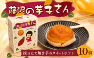 スイートポテト 10個入 藤沢の芋子さん  すいーとぽてと 詰め合わせ さつま芋 紅はるか 紅あずま さつまいも サツマイモ 薩摩芋 菓子 洋菓子 焼き菓子 お菓子 おかし スイーツ すいーつ おやつ 個包装 プレゼント 贈り物 誕生日 ご褒美 株式会社ブランニューデザイン 神奈川 湘南 藤沢