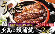 【5ヶ月定期便】【うなぎ】創業七十余年の味 至高の鰻蒲焼 2尾