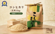 コシヒカリ(玄米)1kg 令和7年産 大坪土建