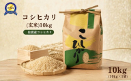 コシヒカリ(玄米)10kg 令和７年産 大坪土建