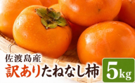 【2026年10月以降発送】佐渡島産訳ありたねなし柿5kg